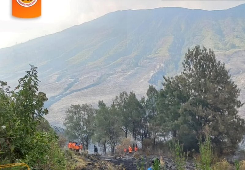 Pemandangan di kawasan Gunung Bromo, Senin (11/09/2023) lalu,  atau beberapa hari setelah mengalami kebakaran hebat. (Foto: @BPBDProbolinggo)