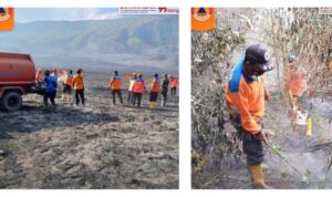 Petugas gabungan memadamkan api di lokasi kebakaran padang savana Gunung Bromo. (Foto: @BPBDProbolinggo)