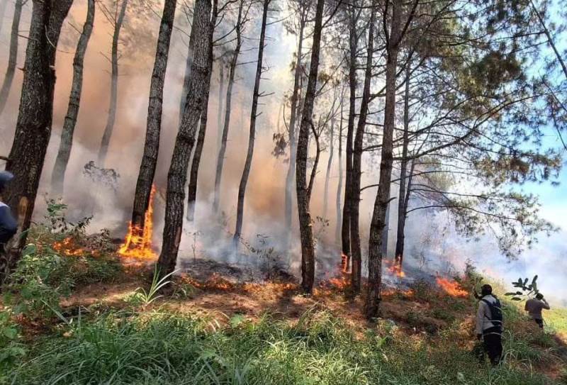 Tim BPBD Kabupaten Ngawi, Jawa Timur, melakukan pemadaman api di kawasan Gunung Lawu, Kamis (28/09/2023). Sejumlah wilayah di Indonesia mengalami kebakaran hutan dan lahan yang memicu kabut asap. (Foto: BPBD Kabupaten Ngawi)