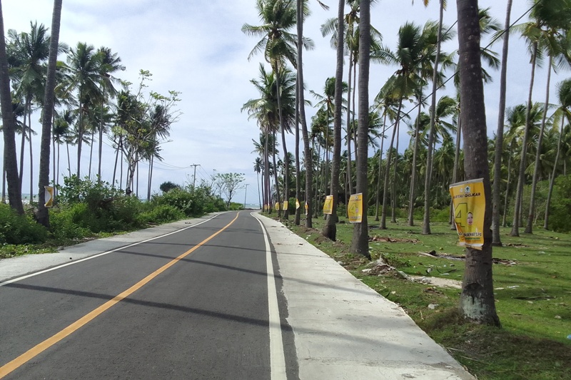 Pemandangan pada ruas jalan yang menghubungkan Kota Makassar dan Kepulauan Selayar di Sulawesi Selatan. Atribut Caleg nampak terpasang pada pohon dengan cara dipaku. Foto: Istimewa