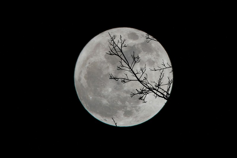 Ilustrasi penampakan bulan (Foto: unsplash.com/David Gibert)