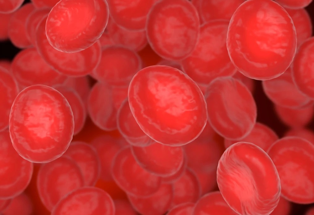 Ilustrasi sel darah marah (Foto: Istimewa)
