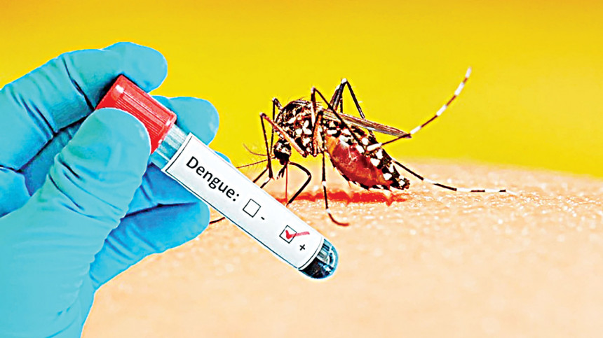 Ilustrasi nyamuk penyebabh dengue. (Foto: the dailystar.net)