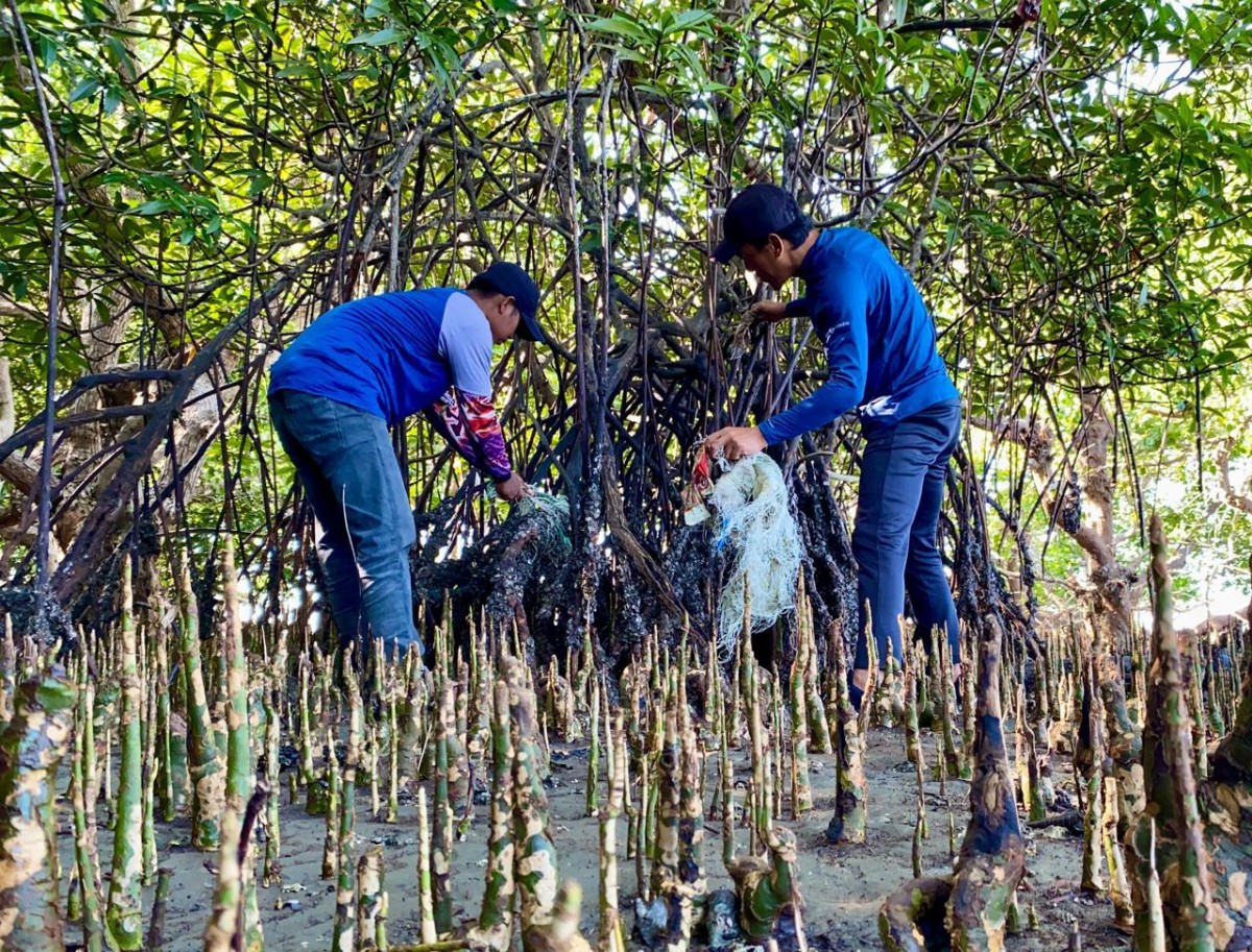 Kegiatan lembaga Literasea dalam rangka peringatan Hari Mangrove Sedunia di pesisir Teluk Bone, Sulawesi Selatan, Minggu (26/7/2026). (Foto: Istimewa)